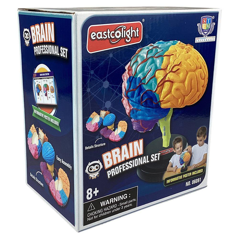 Set Profesional de Cerebro STEM 8+ Años Set Profesional de Cerebro
