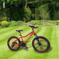 Bicicleta-de-Montaña-Rin-24-de-Aluminio-Roja---Diamond