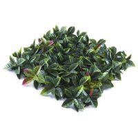 Follaje Para Pared Hojas Verdes Con Rojo 50X50 - Z