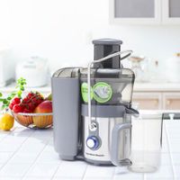 Extractor de Jugos 1.1Hp 1.15 Lt