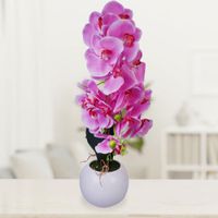 Orquidea-Rosada-Con-Pote-Redondo-Blanco-70-Cm---Concepts