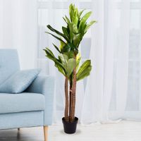 Planta-Con-Maceta-120-Cm---Concepts