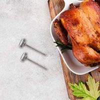 Mini-Termometros-Carnes-S-2-Gc---Good-Cook