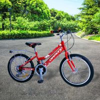 Bicicleta-de-Montaña-Rin-20-de-21-Velocidades-Roja---Diamond