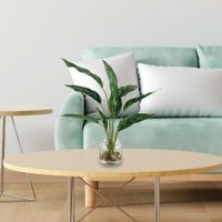 Planta-Decorativa-con-Pote-32x32x40-Cm---Concepts