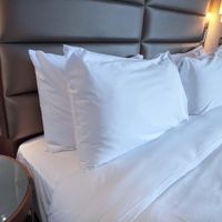 Almohada-de-Plumas-Entera---Varios-Tamaños