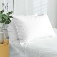 Almohada-de-Plumas-Entera---Varios-Tamaños