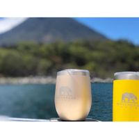 Vaso Térmico de Acero Inoxidable Gold 12 Oz