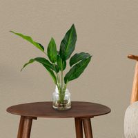 Planta-Decorativa-con-Pote-32x32x40-Cm---Concepts