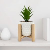 Planta-Decorativa-14x14x24-Cm---Concepts