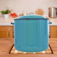Olla-De-Peltre-Recta-Con-Orejas-42-Cm---Cinsa