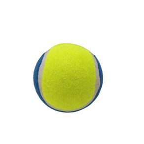 Pelota-de-Tenis-para-Perro-Grande