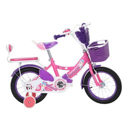 Bicicleta Rin 16 Morada