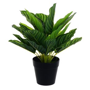 Planta-Decorativa-con-Maceta-30Cm