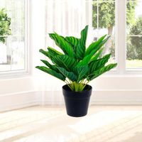Planta-Decorativa-con-Maceta-30Cm