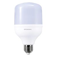 Bombilla Alta Potencia Emergencia 30 W