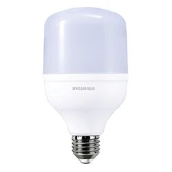Bombilla Alta Potencia Emergencia 30 W