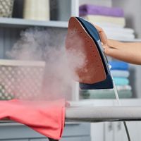 Plancha de Vapor Profesional 6 Temperaturas