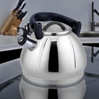 Tetera de Acero Inoxidable Satinada 3L