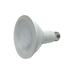 Reflector-LED-PAR30-10-W-Luz-Dia-IP65