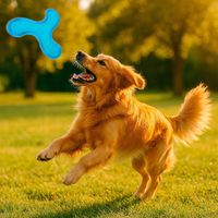 Disco-de-Lanzamiento-para-Perros-Colores-Surtidos
