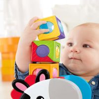 Cebra-Bloques-de-Actividades-Fisher-Price