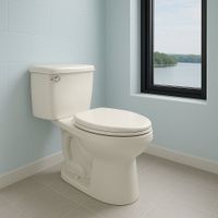 Sanitario Alargado de Una Pieza Blanco