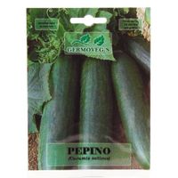Semilla De Pepino - Germoveg´S