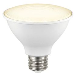Reflector Led Para Exterior Luz Cálida De 8 W - Tecnolite