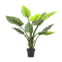 Planta Con Pote 125 Cm
