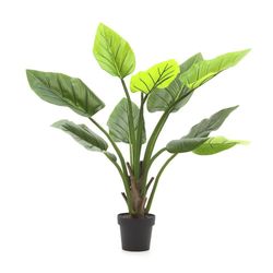 Planta Con Pote 125 Cm