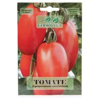 Semilla De Tomate - Germoveg´S
