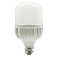 Bombilla Led Alta Potencia 20W - Tecnolite