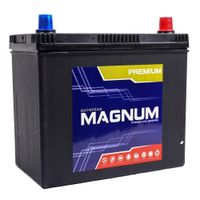 Batería Para Carro Ns60Ls - Magnum