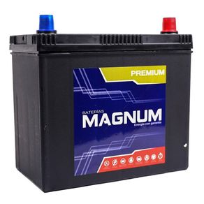Batería Para Carro Ns60Ls - Magnum