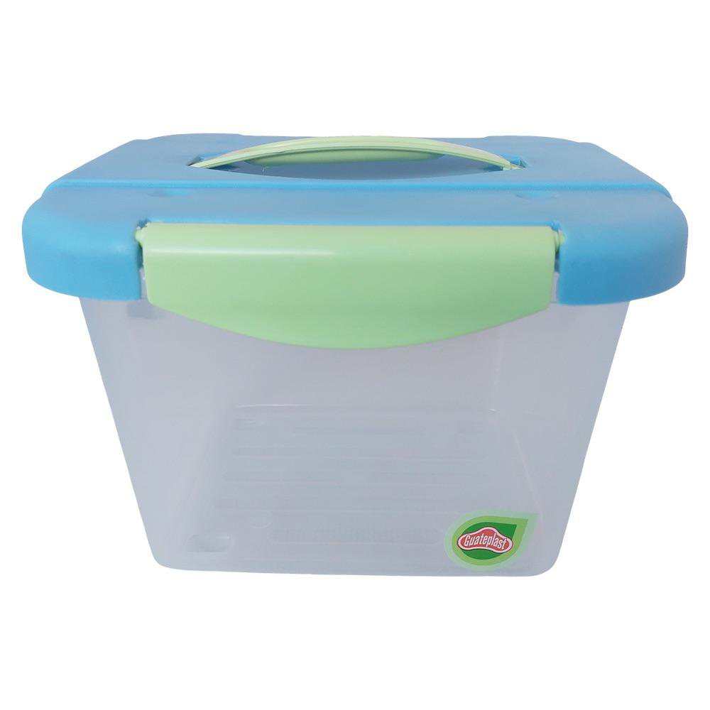 Caja Organizadora Click 4 L con Asa Color Celeste con Verde