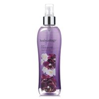 Splash  Corporal Bc Dark Cherry Orchid 2