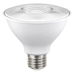 Reflector Led Para Interior Luz Cálida De 1313 W - Tecnolite