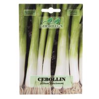 Semilla De Cebollín - Germovegs