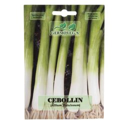 Semilla De Cebollín - Germovegs