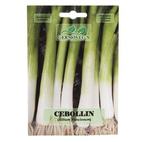 Semilla De Cebollín - Germovegs