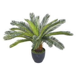 Planta Con Pote 60 Cm