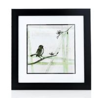 Cuadro 34 X 34 Cm Pájaros - Viva