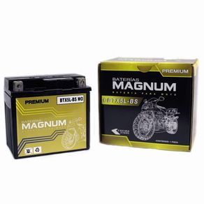 Batería De Moto Btx5L-Bs Magnum