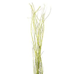 Ramas Artesanales 1.25 Mt. Alto 7 Tall - Kotz'ijal