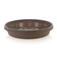 Caja Terra Chocolate 12 - Bloem