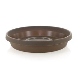 Caja Terra Chocolate 12 - Bloem