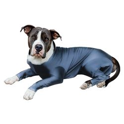 Traje Antiestrés Para Perro Gris - Scuba Varias Tallas