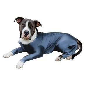 Traje Antiestrés Para Perro Gris - Scuba Varias Tallas