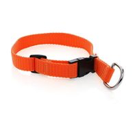 Collar De Nylon P/Perro Pequeño - Dog Lover